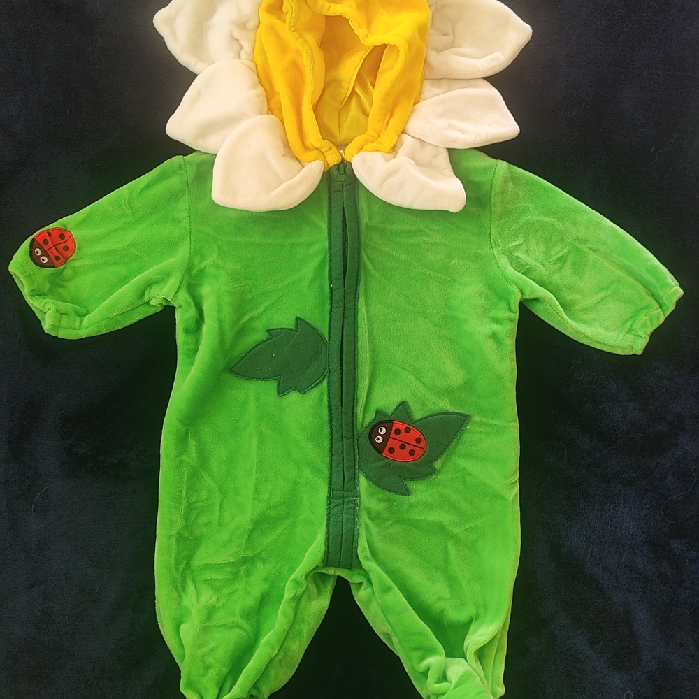 Sunflower 🌻 Green Baby Costume with Ladybug Accents